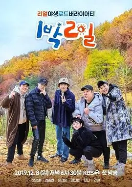 乘风破浪 封面